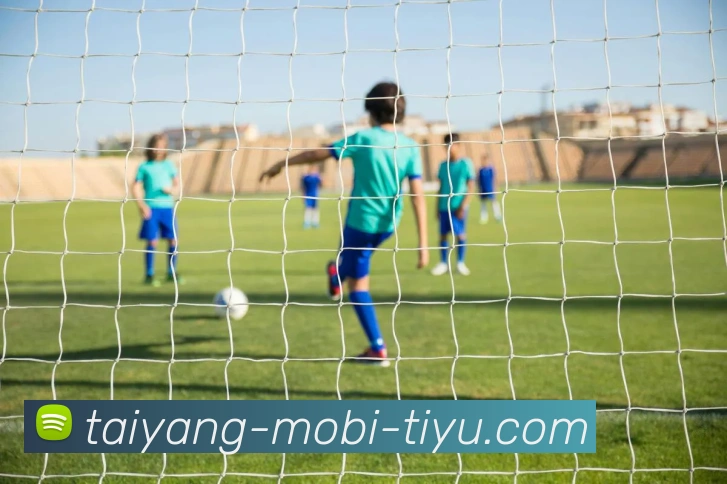 多媒体互动体验