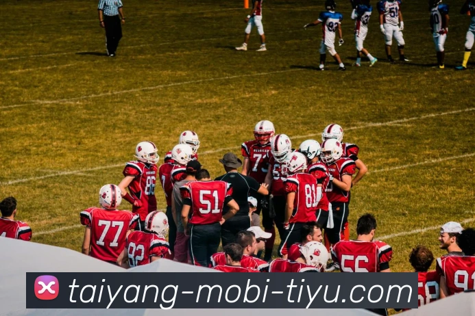 太阳城APP 体育赛事宣传图